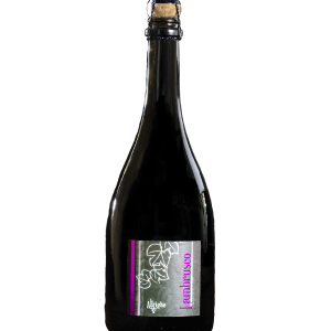 Lambrusco Emilia IGT Frizzante