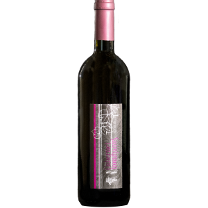 Cabernet Sauvignon Emilia IGT